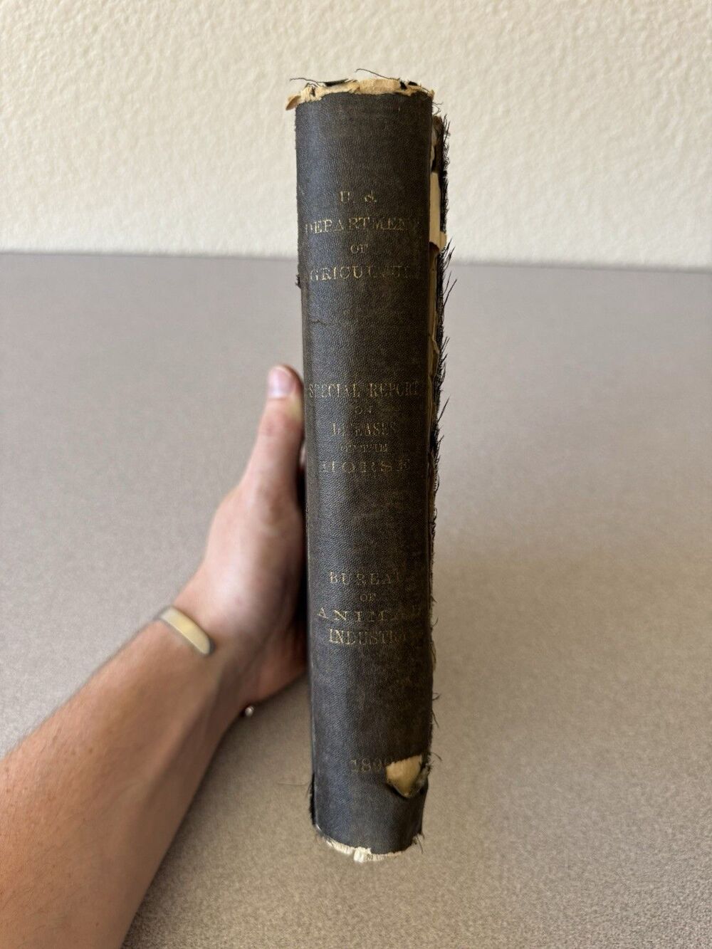 1890 USDA Diseases of the Horse Special Report Antique Veterinary Book As Is